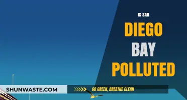 San Diego Bay: Polluted or Pristine?
