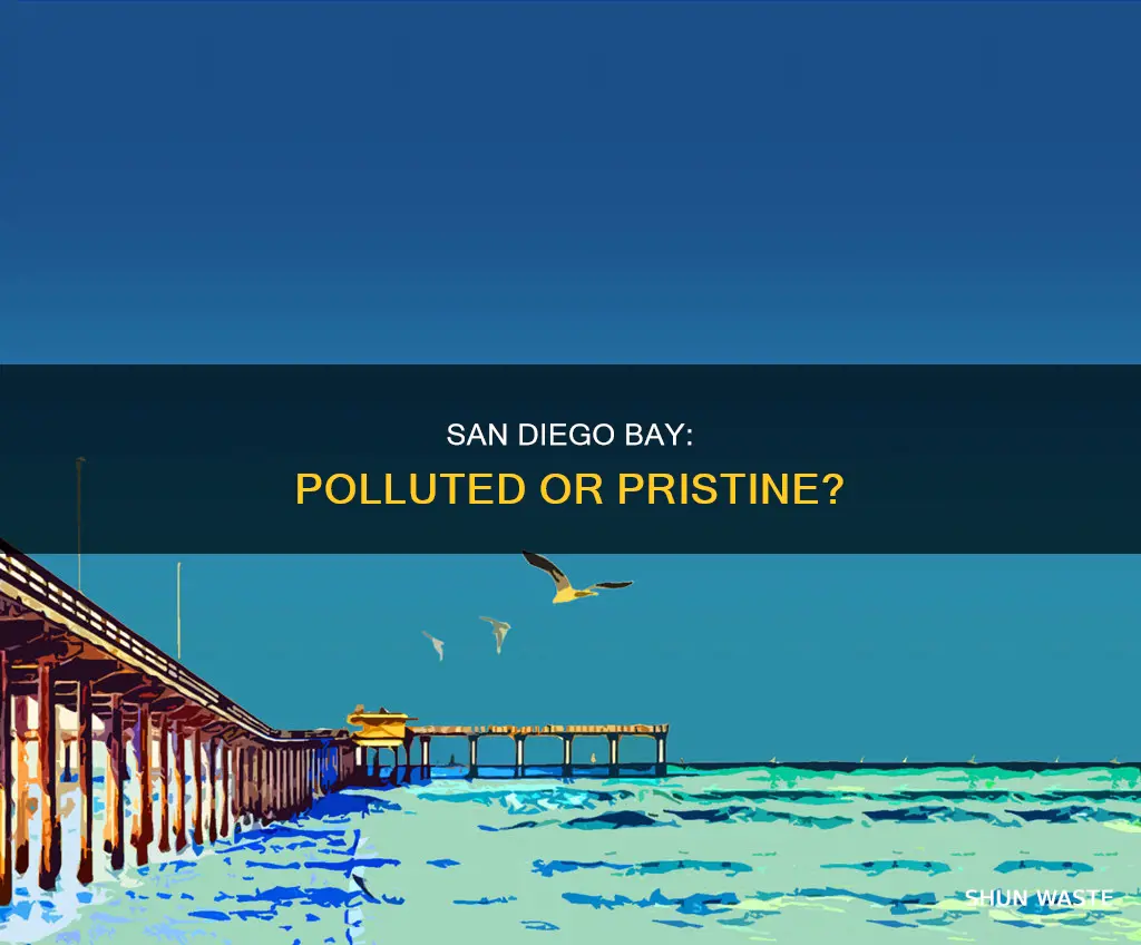 is san diego bay polluted