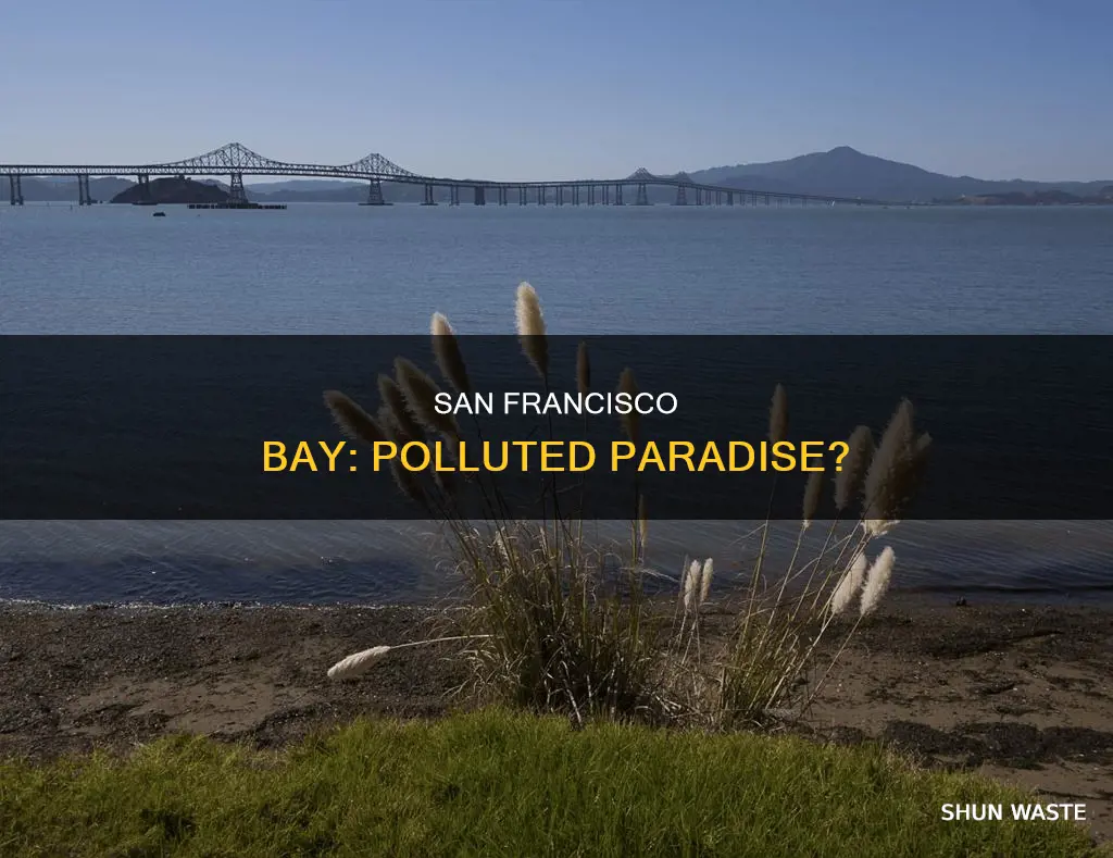 is san francisco bay polluted