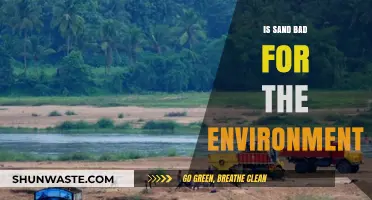 Is Sand Harming Our Planet? Environmental Impacts Explained