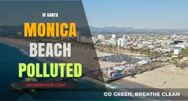 Santa Monica Beach: Polluted Paradise?