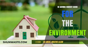Saving Energy: A Powerful Step Toward Environmental Sustainability and Health