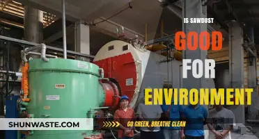 Sawdust's Eco-Impact: Uncovering Its Environmental Benefits and Challenges