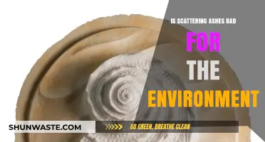 Scattering Ashes: Environmental Impact and Eco-Friendly Alternatives Explained