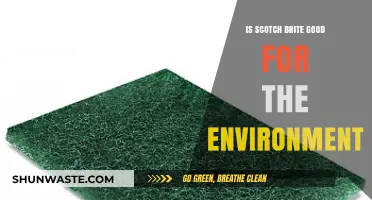 Is Scotch-Brite Eco-Friendly? Exploring Its Environmental Impact and Sustainability