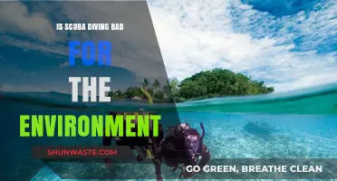 Scuba Diving's Environmental Impact: Harmful or Sustainable Practice?