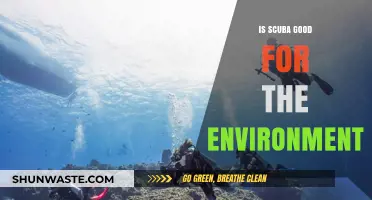 Scuba Diving's Environmental Impact: Harmful or Helpful for Our Oceans?