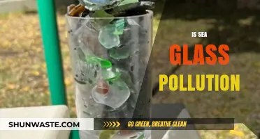 The Truth About Sea Glass and Pollution
