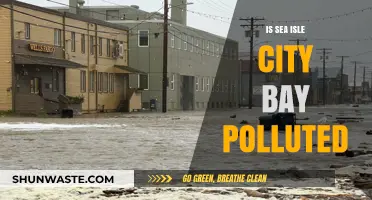 Sea Isle City: Is the Bay Polluted?
