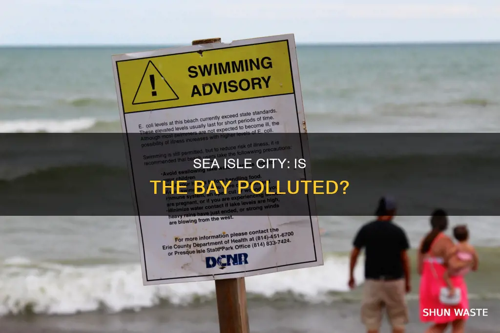 is sea isle city bay polluted