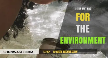 Sea Salt's Environmental Impact: Sustainable or Harmful for Our Oceans?