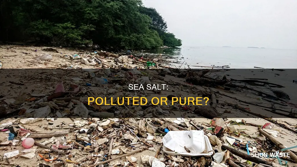 is sea salt polluted