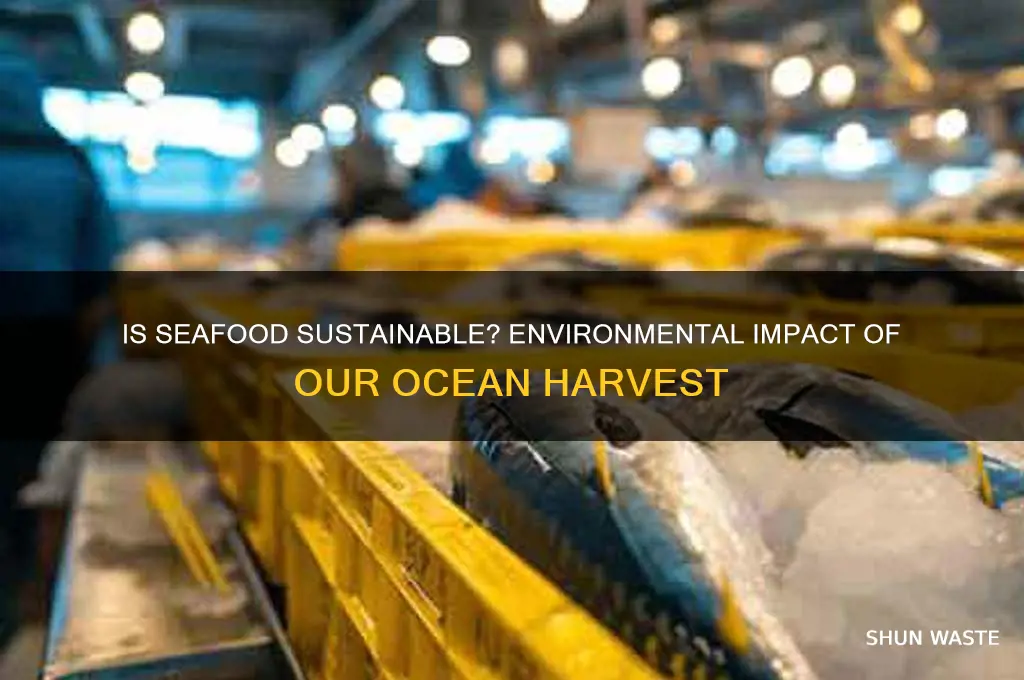 is seafood bad for the environment