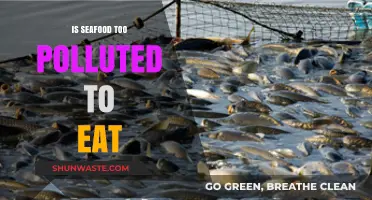 Is Seafood Safe to Eat in a Polluted World?