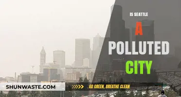 Seattle's Pollution Problem: Is It Getting Worse?