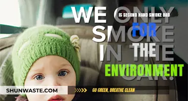 Secondhand Smoke's Environmental Impact: Uncovering Hidden Harms and Solutions