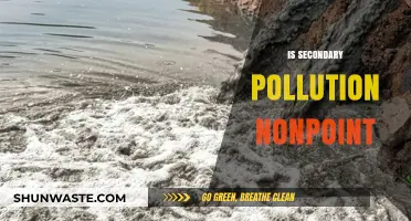 Secondary Pollution: Nonpoint Sources and Their Impact