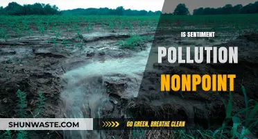 Understanding Sentiment Pollution: Exploring Nonpoint Sources