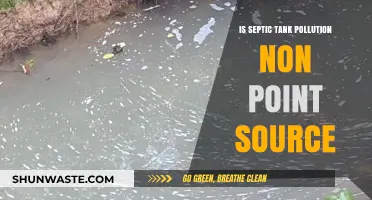 Septic Tank Pollution: Non-Point Source Problem?