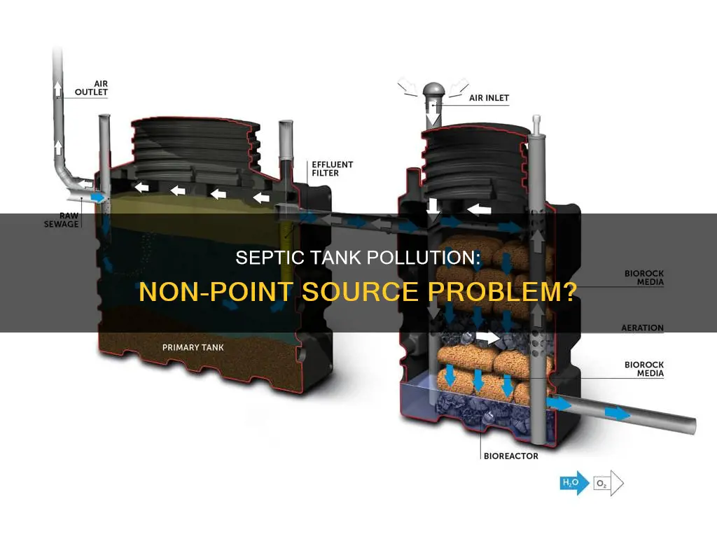 is septic tank pollution non point source