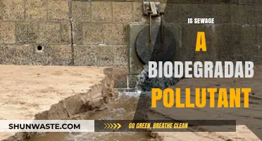 Sewage: Biodegradable Pollutant or Environmental Hazard?