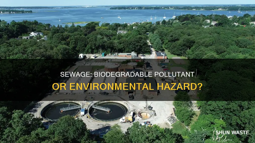 is sewage a biodegradable pollutant