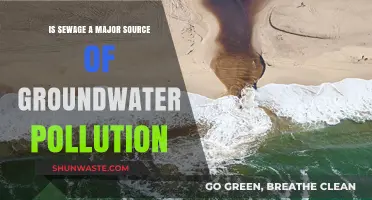 Sewage's Impact: Groundwater Pollution's Major Source