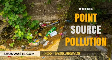 Sewage: Point Source Pollution and its Impact