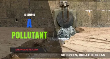 Sewage: A Hazardous Pollutant or a Resource?