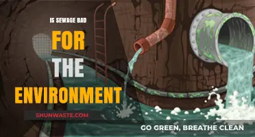 Sewage's Environmental Impact: Harmful Effects and Sustainable Solutions Explored