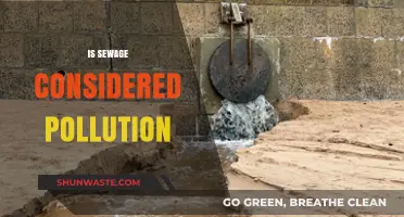 The Sewage Pollution Problem: What You Need to Know