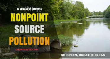 How Sewage Overflow Creates Nonpoint Source Pollution