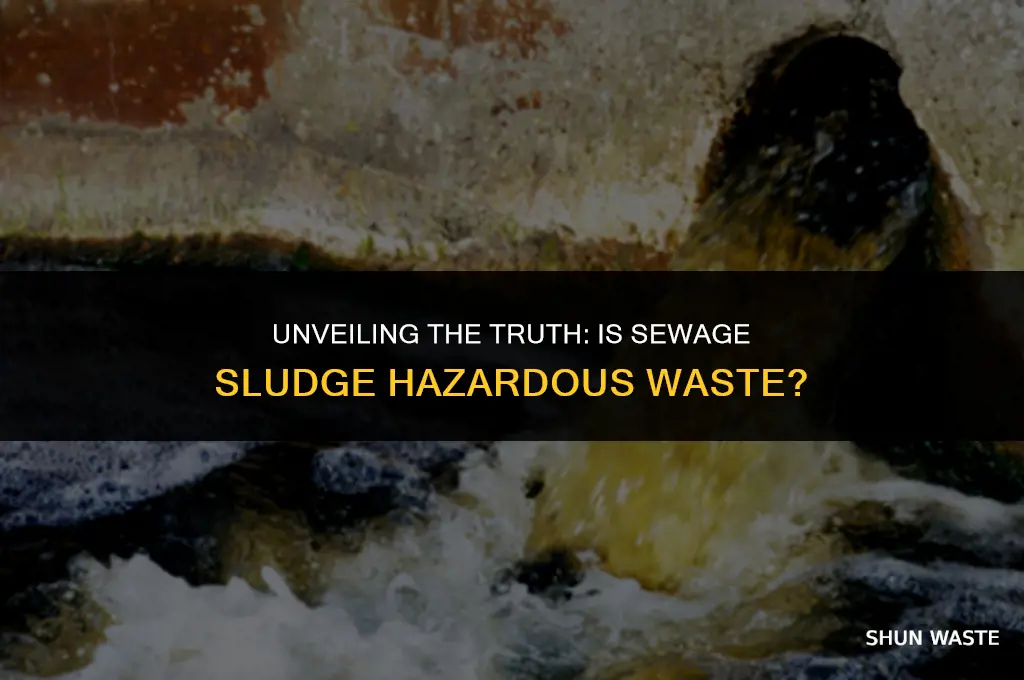 is sewage sludge hazardous waste