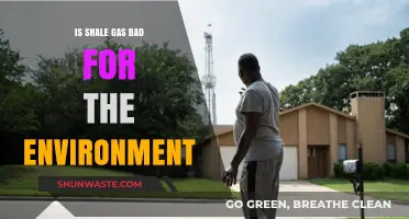 Shale Gas Environmental Impact: Harmful or Sustainable Energy Source?