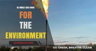 Shale Gas: Environmental Savior or Ecological Threat?
