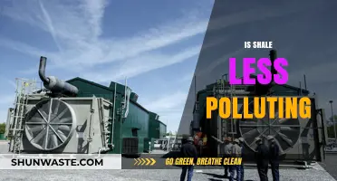 Shale: A Cleaner Energy Source?