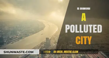 Shanghai's Pollution Problem: Is It Improving?