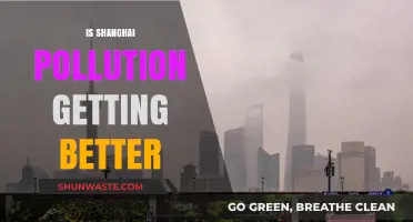 Shanghai's Pollution: A Brighter Future Ahead?