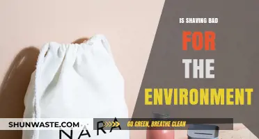 Shaving's Environmental Impact: Sustainable Alternatives for Eco-Friendly Grooming