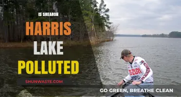 Shearon Harris Lake: Is It Polluted?