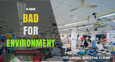 Is Shein Harming Our Planet? Uncovering the Environmental Impact