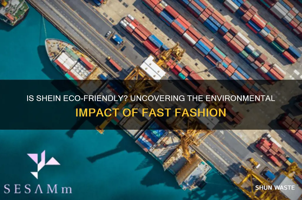 is shein good for the environment