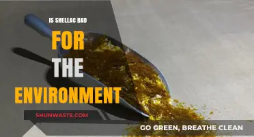 Shellac's Environmental Impact: Sustainable Choice or Eco-Friendly Myth?