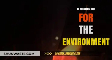 Shelling's Environmental Impact: Uncovering the Hidden Costs of Coastal Harvesting