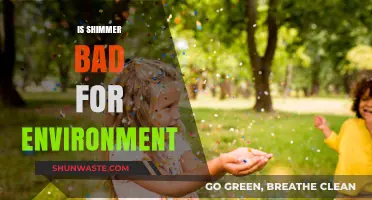 Shimmer's Environmental Impact: Uncovering the Hidden Costs of Sparkle