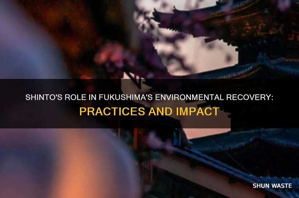 is shinto doing anything to help environment in fukushima