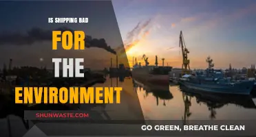 Shipping's Environmental Impact: Uncovering the Hidden Costs of Global Trade
