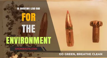 Shooting Lead: Environmental Impact and Sustainable Alternatives Explored