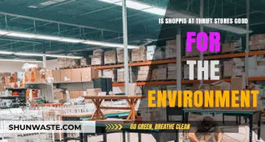 Thrift Store Shopping: Eco-Friendly Choice or Just a Trend?