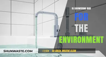 Showering's Environmental Impact: Myths, Facts, and Sustainable Practices